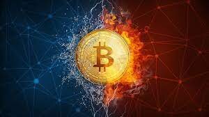Starlight Exchange Latest News