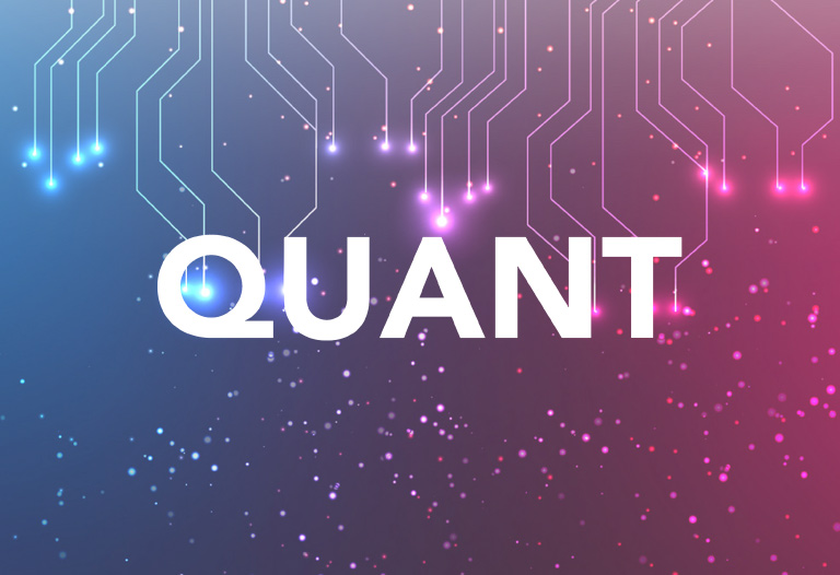 Buy Quant UK Guide