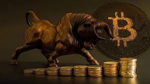 crypto bull market